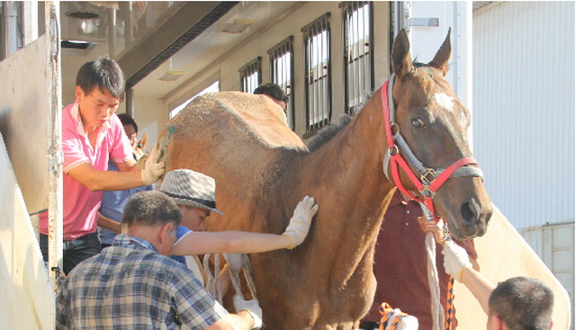圖片關鍵詞 圖片關鍵詞
