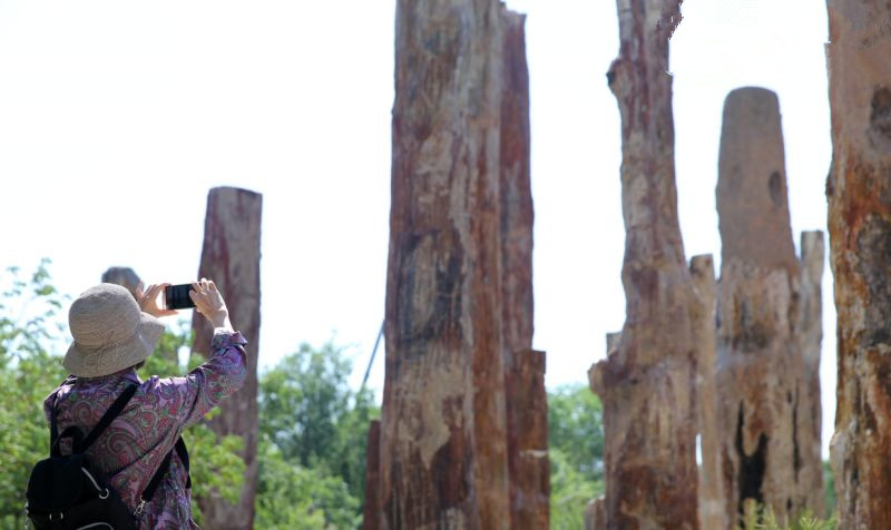 圖片關(guān)鍵詞