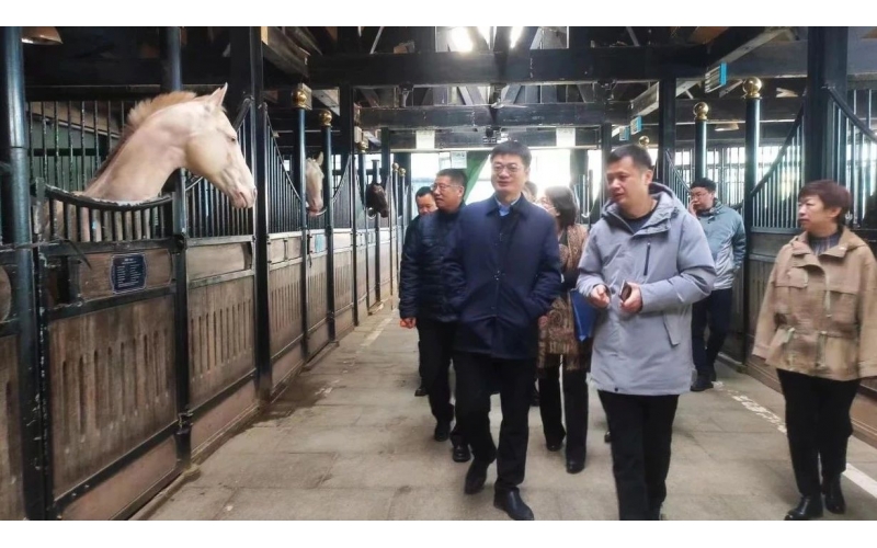 高雷副廳長在野馬集團(tuán)調(diào)研時(shí)表示，要通過科技助力，精準(zhǔn)解決“卡脖子”問題