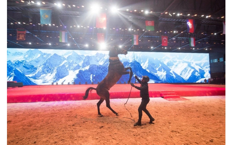 住馬酒店、吃馬肉腸、喝馬奶粉、品馬奶酒--