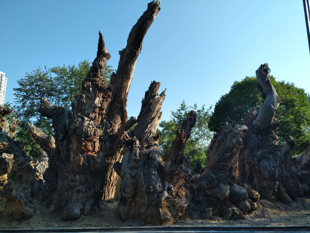 圖片關鍵詞 圖片關鍵詞